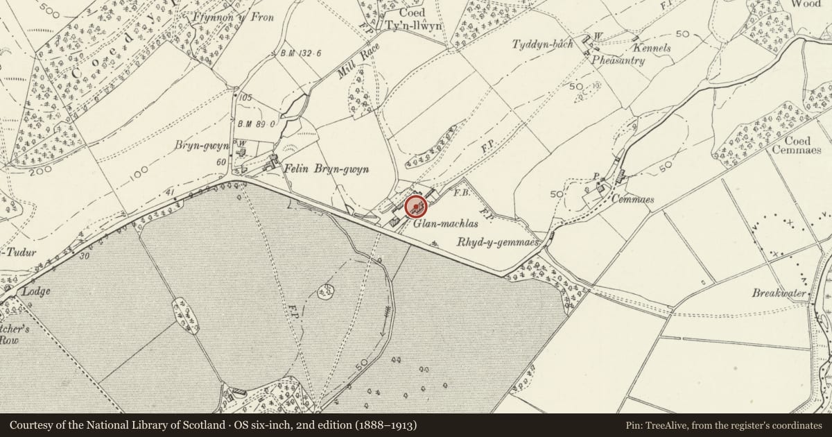 Ordnance Survey six-inch map, 2nd edition (1888–1913) covering the location of SE range of farm buildings around the large farmyard at Glanmachlas, Llanegryn, Gwynedd, with a pin at the register's coordinates