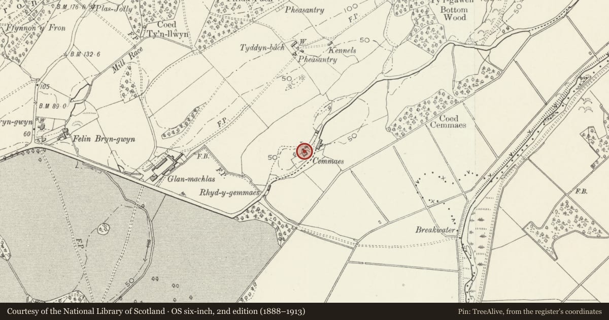 Ordnance Survey six-inch map, 2nd edition (1888–1913) covering the location of Cemaes, Llanegryn, Gwynedd, with a pin at the register's coordinates