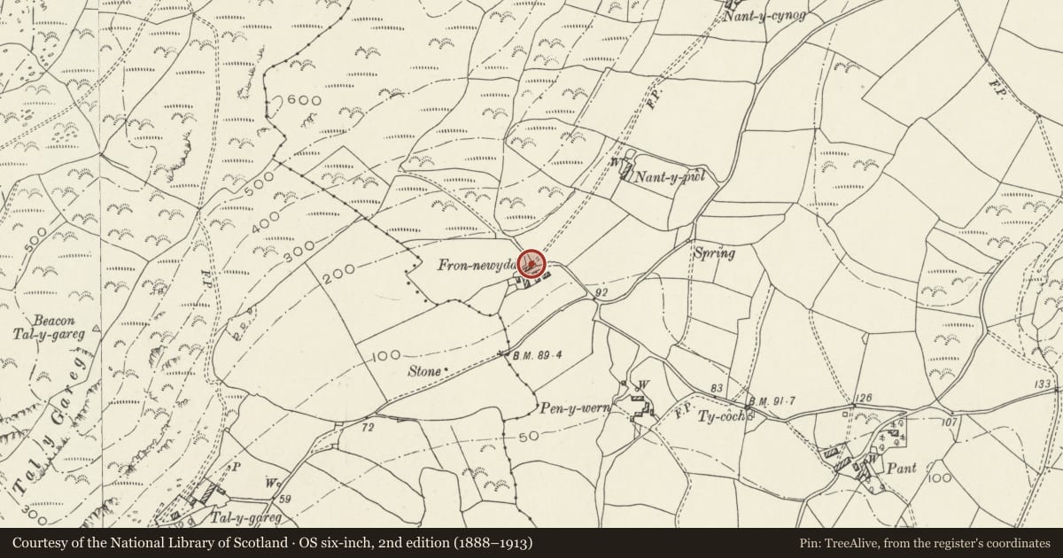 Ordnance Survey six-inch map, 2nd edition (1888–1913) covering the location of Fron Newydd, Llanegryn, Gwynedd, with a pin at the register's coordinates