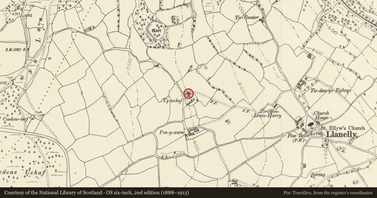 Ordnance Survey six-inch map, 2nd edition (1888–1913) covering the location of Outside Kitchen at Ty-uchaf, Llanelly, Monmouthshire, with a pin at the register's coordinates