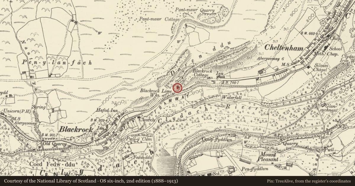 Ordnance Survey six-inch map, 2nd edition (1888–1913) covering the location of Limekilns at Blackrock Limeworks, including Loading-ramp, Llanelly, Monmouthshire, with a pin at the register's coordinates