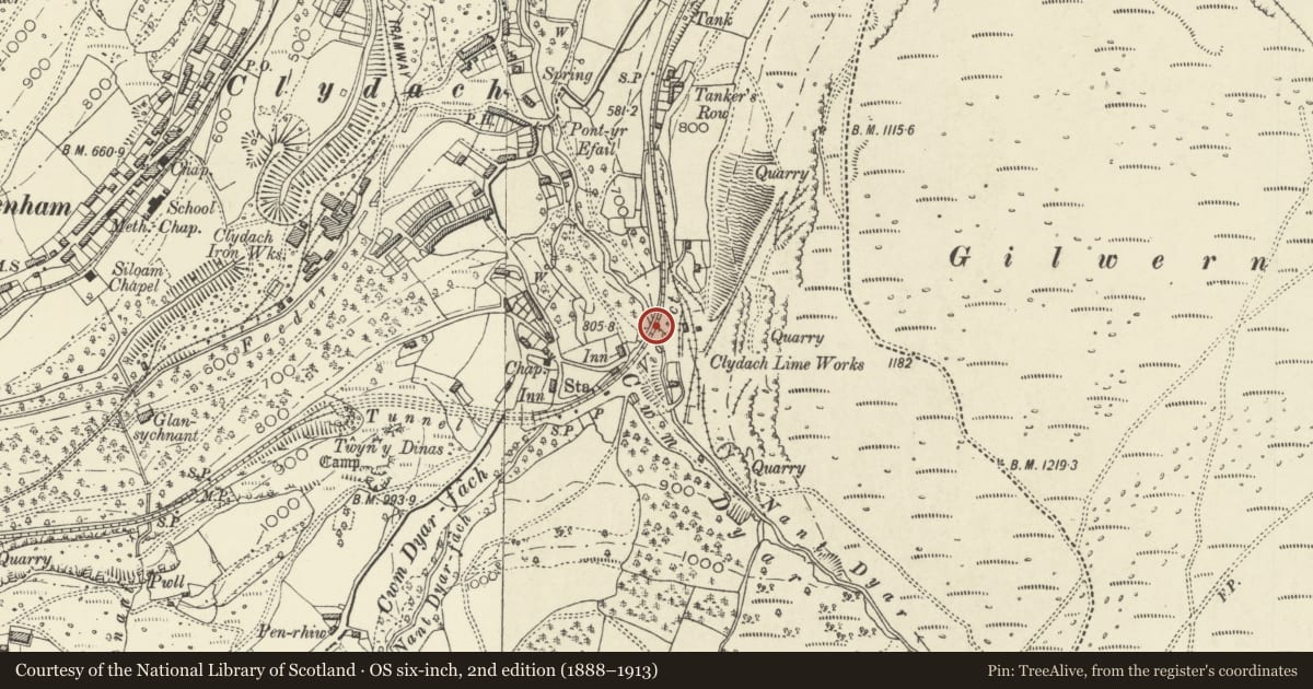 Ordnance Survey six-inch map, 2nd edition (1888–1913) covering the location of Nant Dyar Railway Viaduct, Llanelly, Monmouthshire, with a pin at the register's coordinates
