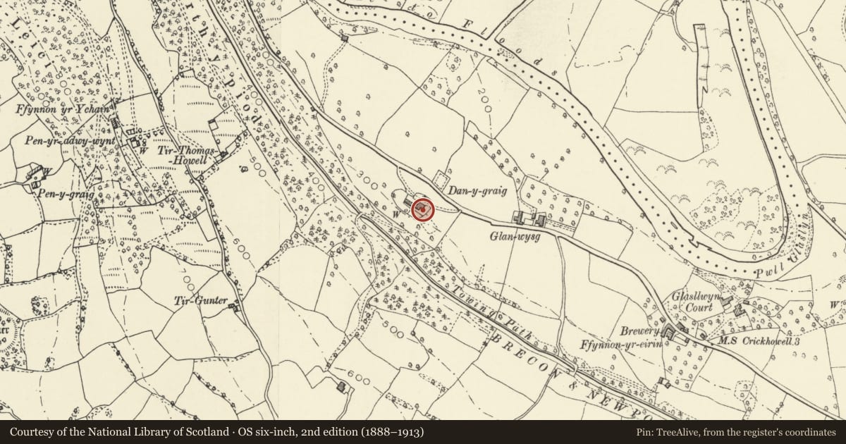 Ordnance Survey six-inch map, 2nd edition (1888–1913) covering the location of Danygraig, Llanelly, Monmouthshire, with a pin at the register's coordinates