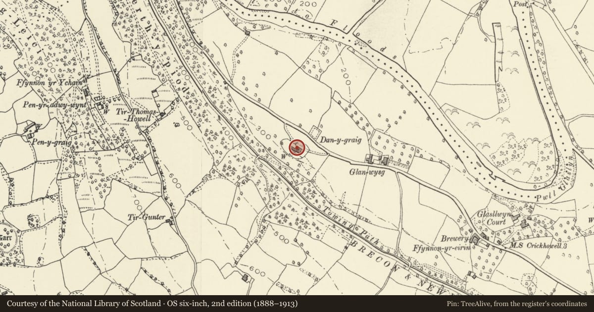 Ordnance Survey six-inch map, 2nd edition (1888–1913) covering the location of Stables and Coach House at Danygraig, Llanelly, Monmouthshire, with a pin at the register's coordinates