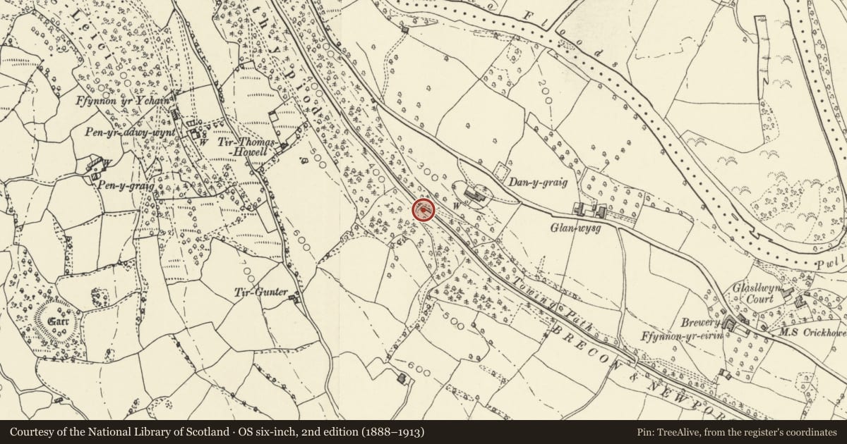 Ordnance Survey six-inch map, 2nd edition (1888–1913) covering the location of Bridge 107 over the Brecknock & Abergavenny Canal including Iron Sign, Llanelly, Monmouthshire, with a pin at the register's coordinates