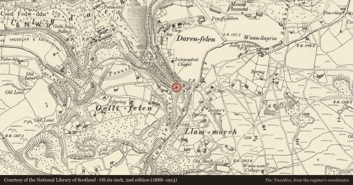 Ordnance Survey six-inch map, 2nd edition (1888–1913) covering the location of Gellifelen Tramroad Bridge, Llanelly, Monmouthshire, with a pin at the register's coordinates