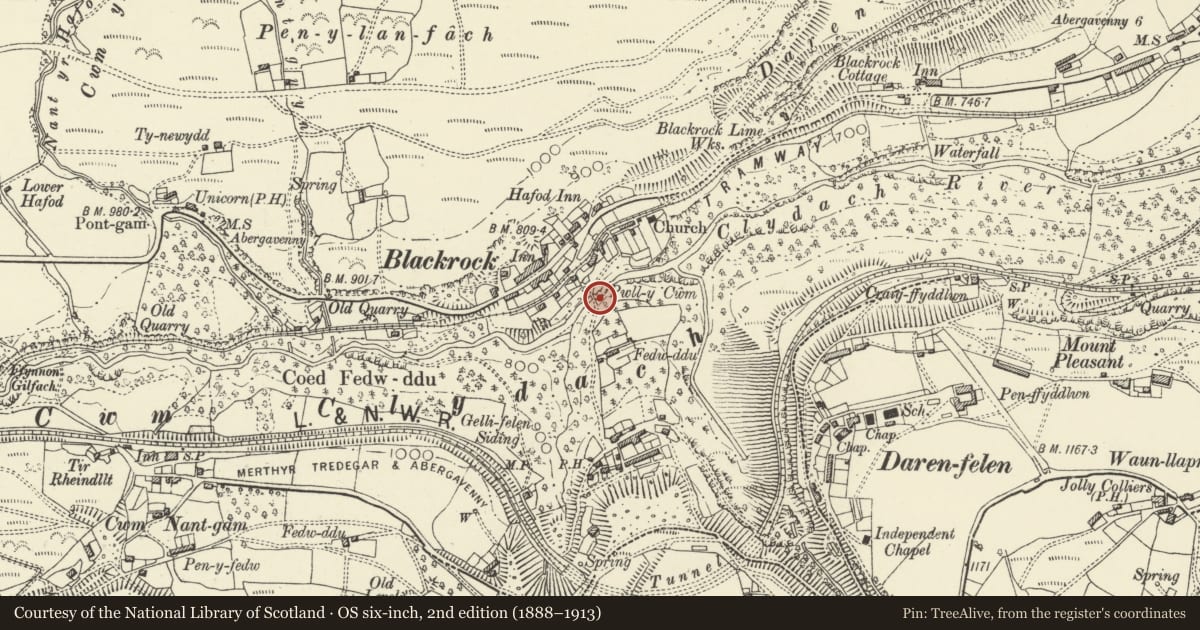 Ordnance Survey six-inch map, 2nd edition (1888–1913) covering the location of Devil’s Bridge, Llanelly, Monmouthshire, with a pin at the register's coordinates