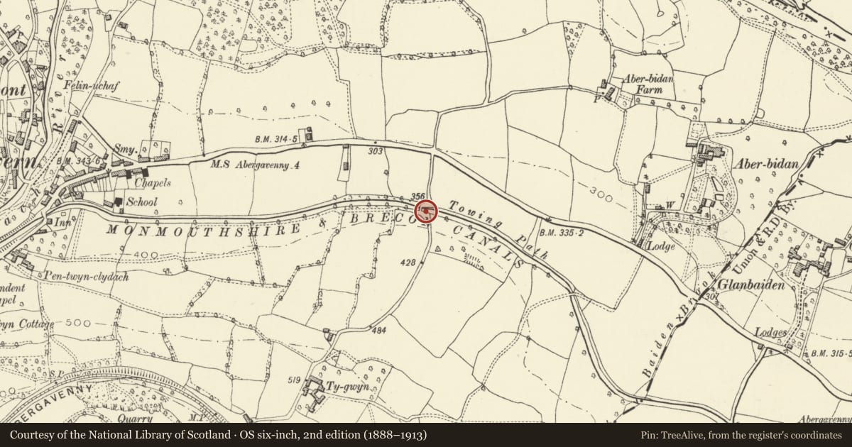 Ordnance Survey six-inch map, 2nd edition (1888–1913) covering the location of Bridge 102 over the Brecknock & Abergavenny Canal, Llanelly, Monmouthshire, with a pin at the register's coordinates