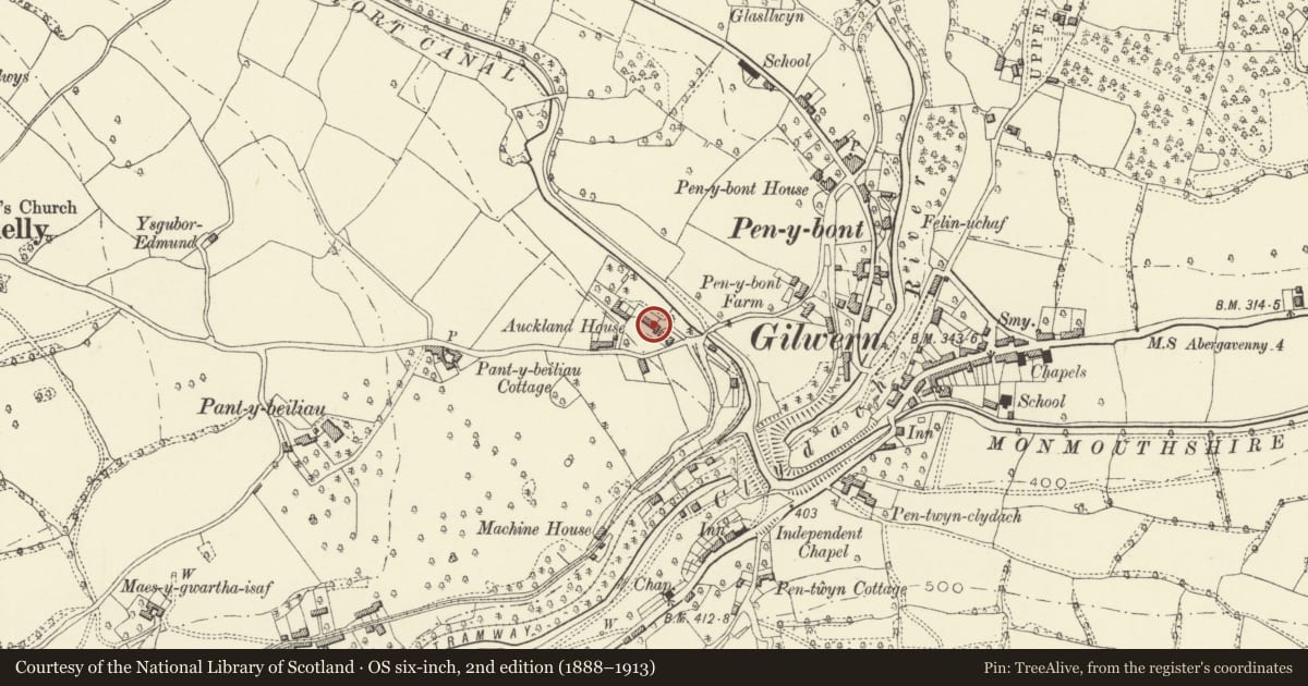 Ordnance Survey six-inch map, 2nd edition (1888–1913) covering the location of Auckland House, Llanelly, Monmouthshire, with a pin at the register's coordinates