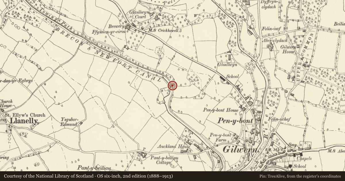 Ordnance Survey six-inch map, 2nd edition (1888–1913) covering the location of Bridge 105 over the Brecknock & Abergavenny Canal including Iron Sign, Llanelly, Monmouthshire, with a pin at the register's coordinates