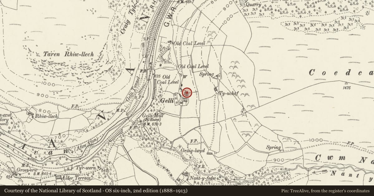 Ordnance Survey six-inch map, 2nd edition (1888–1913) covering the location of Gelli Farm Cottage, Glyncorrwg, Neath Port Talbot, with a pin at the register's coordinates