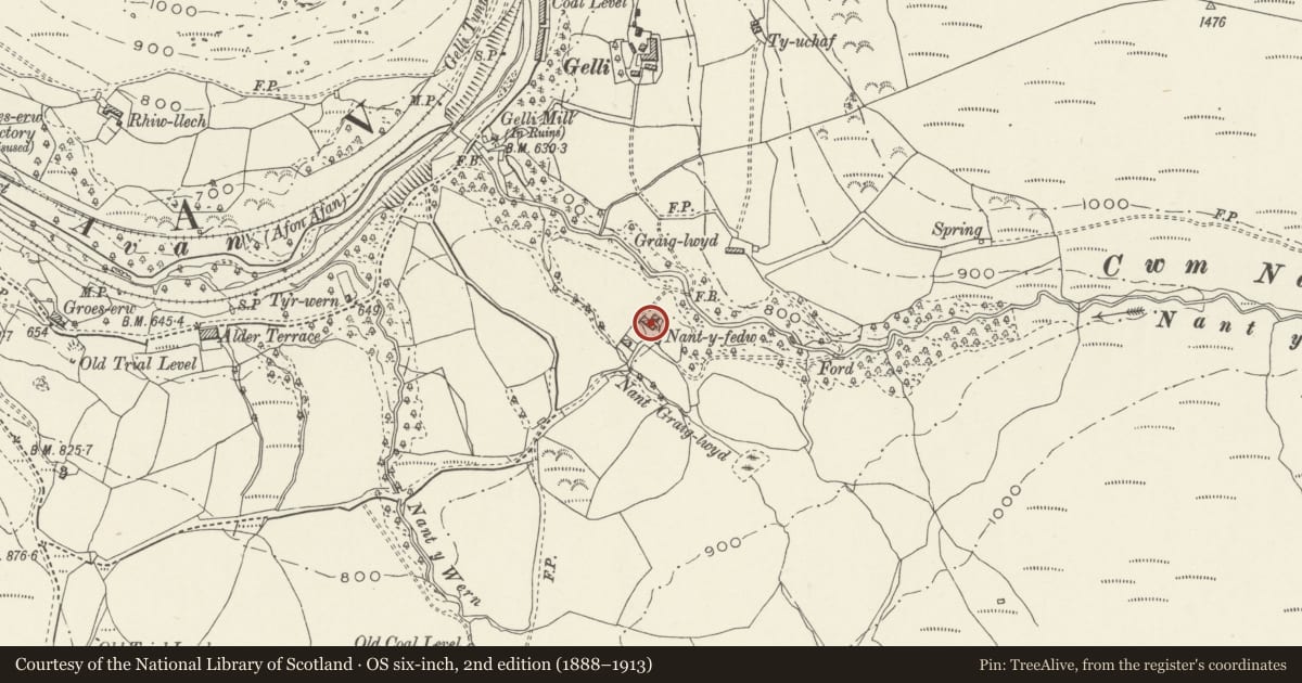Ordnance Survey six-inch map, 2nd edition (1888–1913) covering the location of Old longhouse at Nantyfedw, Glyncorrwg, Neath Port Talbot, with a pin at the register's coordinates
