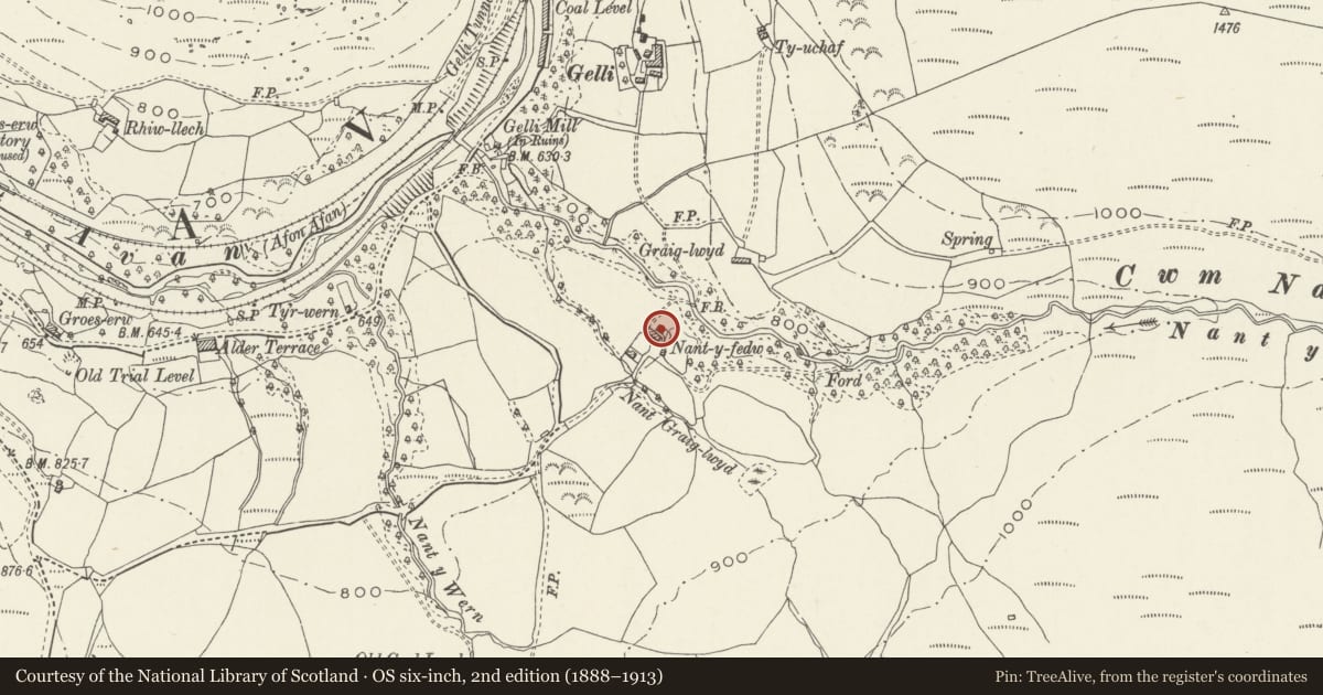 Ordnance Survey six-inch map, 2nd edition (1888–1913) covering the location of Stable at Nantyfedw, Glyncorrwg, Neath Port Talbot, with a pin at the register's coordinates