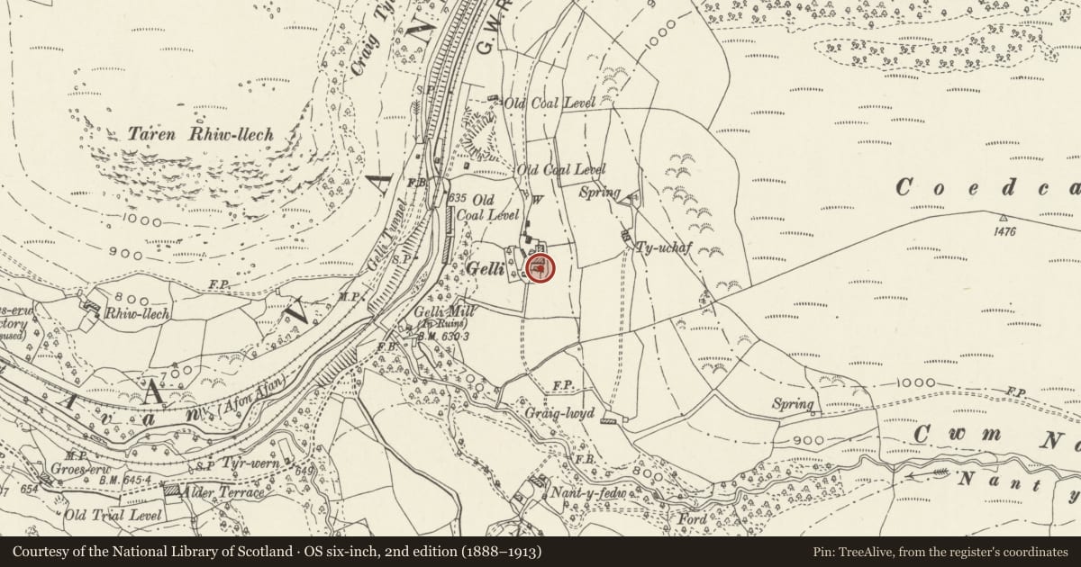 Ordnance Survey six-inch map, 2nd edition (1888–1913) covering the location of Bakehouse at Gelli Farm, Glyncorrwg, Neath Port Talbot, with a pin at the register's coordinates
