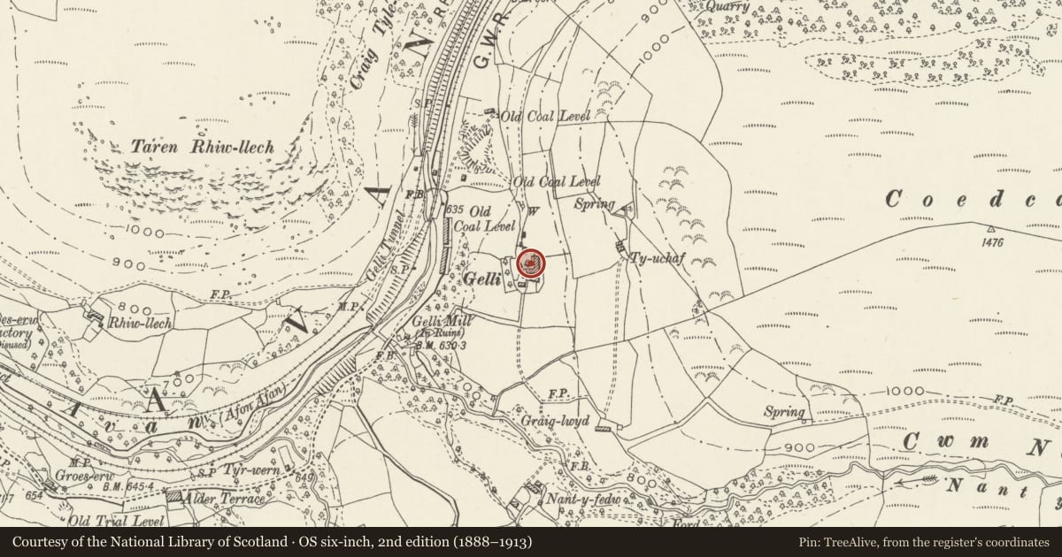 Ordnance Survey six-inch map, 2nd edition (1888–1913) covering the location of Barn and Cow House at Gelli Farm, Glyncorrwg, Neath Port Talbot, with a pin at the register's coordinates