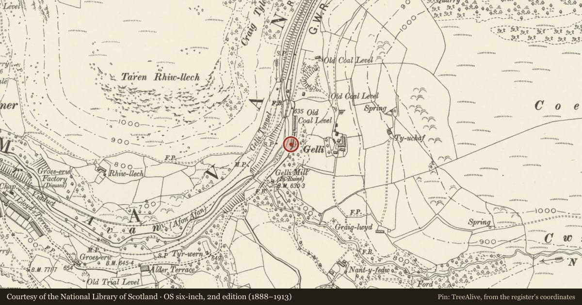 Ordnance Survey six-inch map, 2nd edition (1888–1913) covering the location of 1 Gelli Houses, Glyncorrwg, Neath Port Talbot, with a pin at the register's coordinates