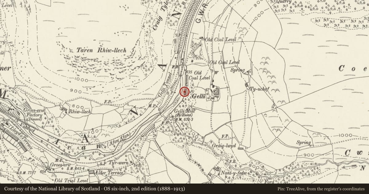 Ordnance Survey six-inch map, 2nd edition (1888–1913) covering the location of 2 Gelli Houses, Glyncorrwg, Neath Port Talbot, with a pin at the register's coordinates