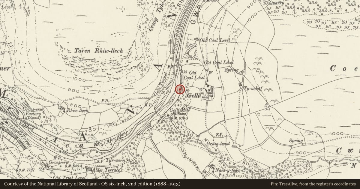 Ordnance Survey six-inch map, 2nd edition (1888–1913) covering the location of 3 Gelli Houses, Glyncorrwg, Neath Port Talbot, with a pin at the register's coordinates