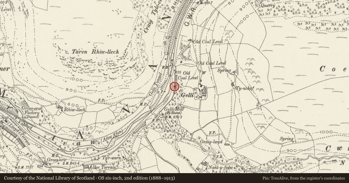Ordnance Survey six-inch map, 2nd edition (1888–1913) covering the location of 5 Gelli Houses, Glyncorrwg, Neath Port Talbot, with a pin at the register's coordinates