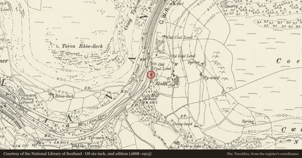 Ordnance Survey six-inch map, 2nd edition (1888–1913) covering the location of 6 Gelli Houses, Glyncorrwg, Neath Port Talbot, with a pin at the register's coordinates