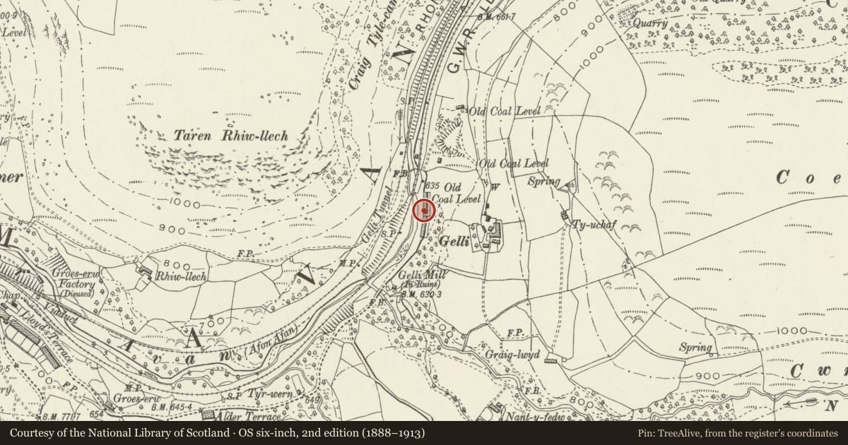 Ordnance Survey six-inch map, 2nd edition (1888–1913) covering the location of 7 Gelli Houses, Glyncorrwg, Neath Port Talbot, with a pin at the register's coordinates