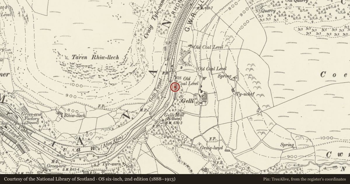 Ordnance Survey six-inch map, 2nd edition (1888–1913) covering the location of 8 Gelli Houses, Glyncorrwg, Neath Port Talbot, with a pin at the register's coordinates