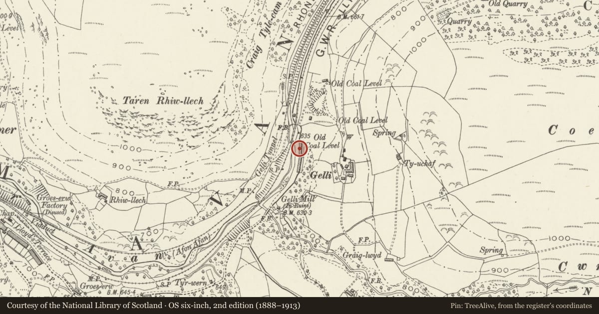 Ordnance Survey six-inch map, 2nd edition (1888–1913) covering the location of 9 Gelli Houses, Glyncorrwg, Neath Port Talbot, with a pin at the register's coordinates