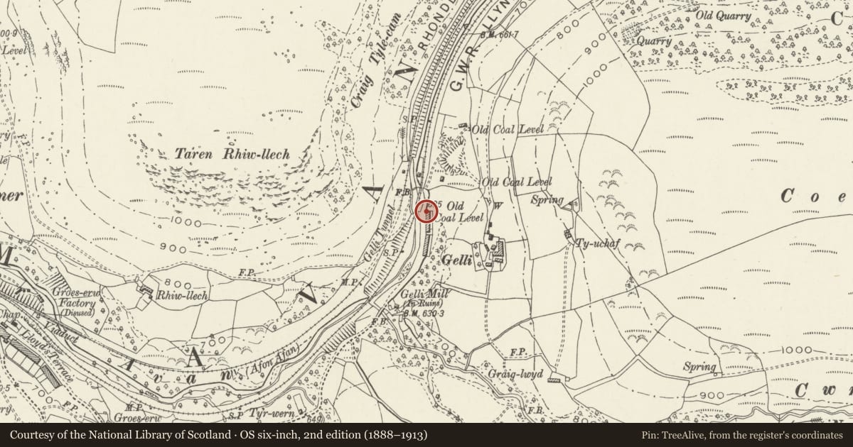 Ordnance Survey six-inch map, 2nd edition (1888–1913) covering the location of 12 Gelli Houses, Glyncorrwg, Neath Port Talbot, with a pin at the register's coordinates