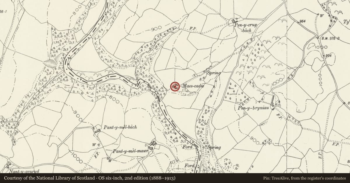 Ordnance Survey six-inch map, 2nd edition (1888–1913) covering the location of Maes Cadw Cruck Barn, Betws Gwerfil Goch, Denbighshire, with a pin at the register's coordinates