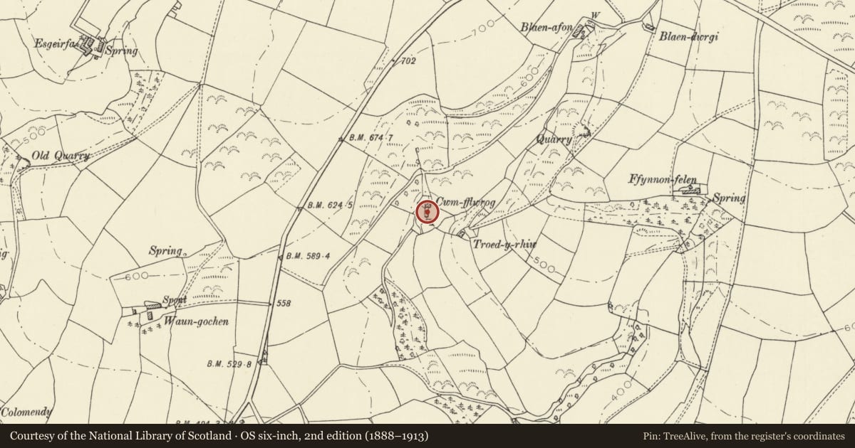 Ordnance Survey six-inch map, 2nd edition (1888–1913) covering the location of Cwm Flowrog, Abernant, Carmarthenshire, with a pin at the register's coordinates