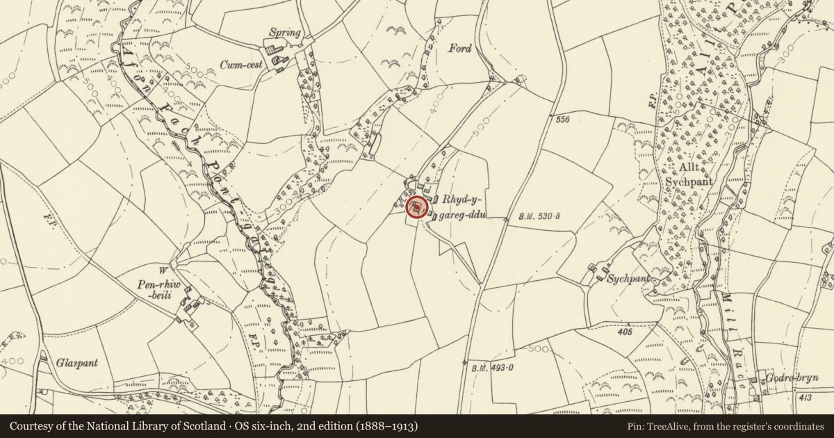 Ordnance Survey six-inch map, 2nd edition (1888–1913) covering the location of Rhyd-y-garreg-ddu, Abernant, Carmarthenshire, with a pin at the register's coordinates