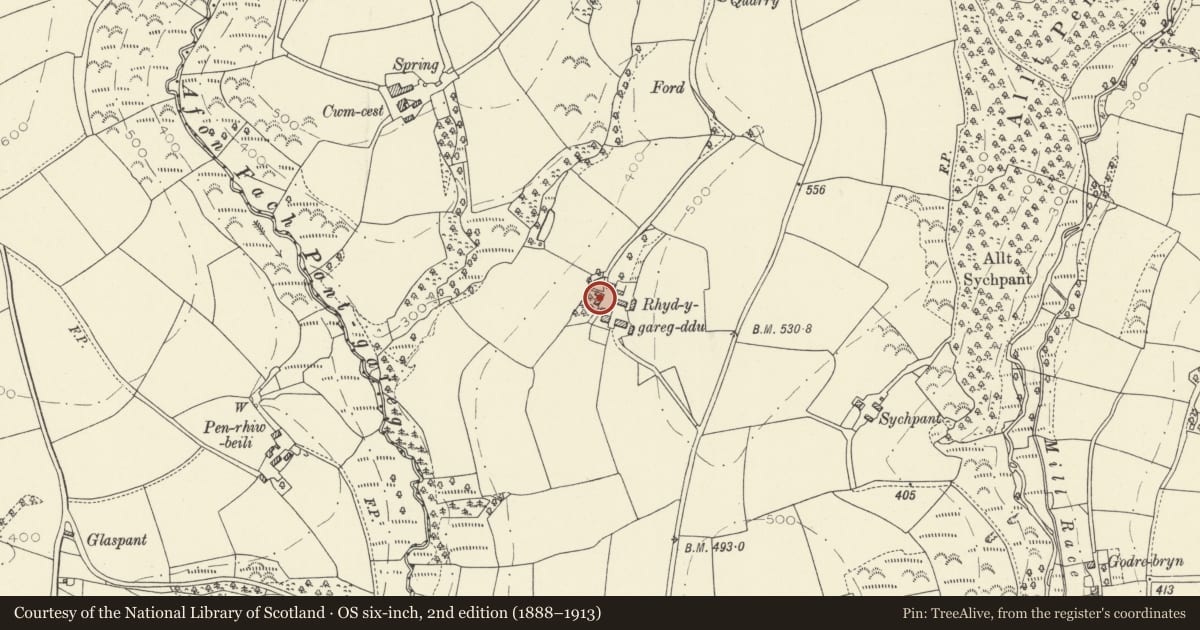 Ordnance Survey six-inch map, 2nd edition (1888–1913) covering the location of Coach-house at Rhyd-y-garreg-ddu, Abernant, Carmarthenshire, with a pin at the register's coordinates