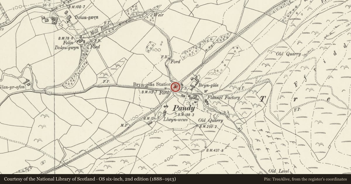 Ordnance Survey six-inch map, 2nd edition (1888–1913) covering the location of Brynglas Railway Station, Bryn-Crug, Gwynedd, with a pin at the register's coordinates
