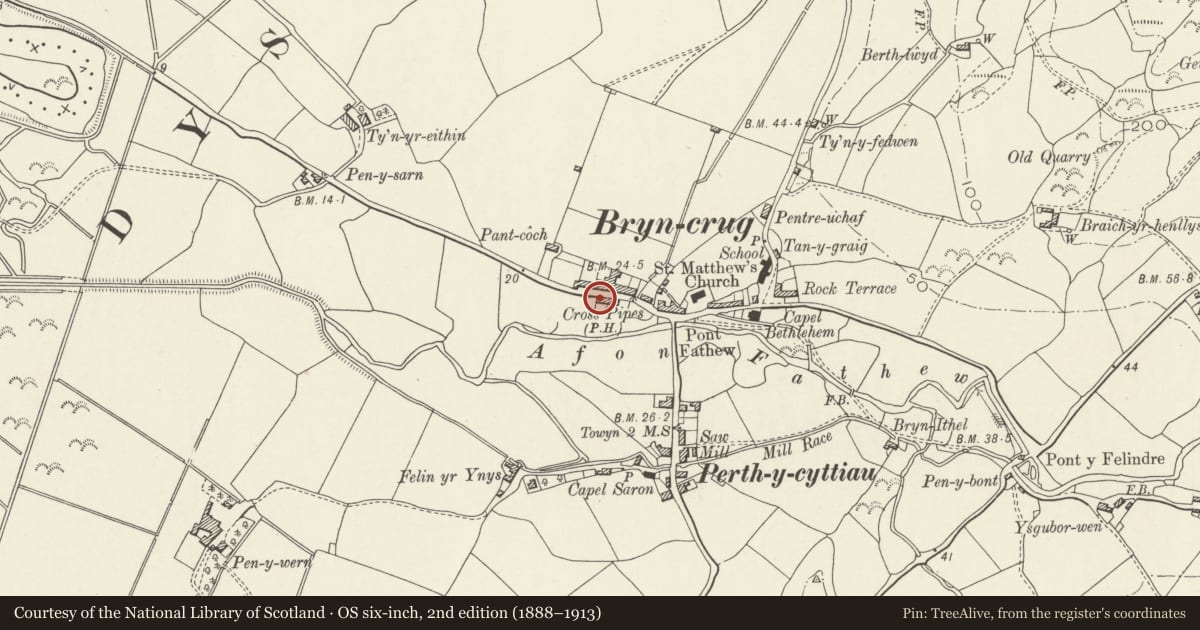 Ordnance Survey six-inch map, 2nd edition (1888–1913) covering the location of Ty'n-y-winllan, Bryn-Crug, Gwynedd, with a pin at the register's coordinates