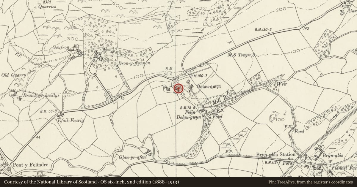 Ordnance Survey six-inch map, 2nd edition (1888–1913) covering the location of Farm buildings at Dolaugwyn, Bryn-Crug, Gwynedd, with a pin at the register's coordinates