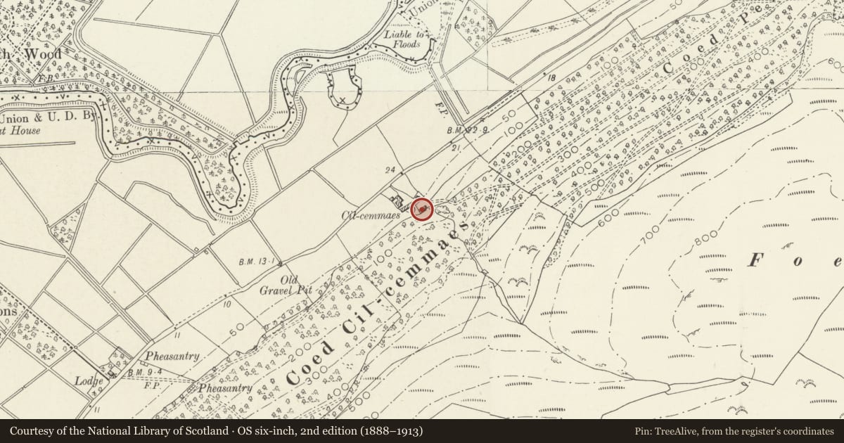 Ordnance Survey six-inch map, 2nd edition (1888–1913) covering the location of Cilcemaes, Bryn-Crug, Gwynedd, with a pin at the register's coordinates