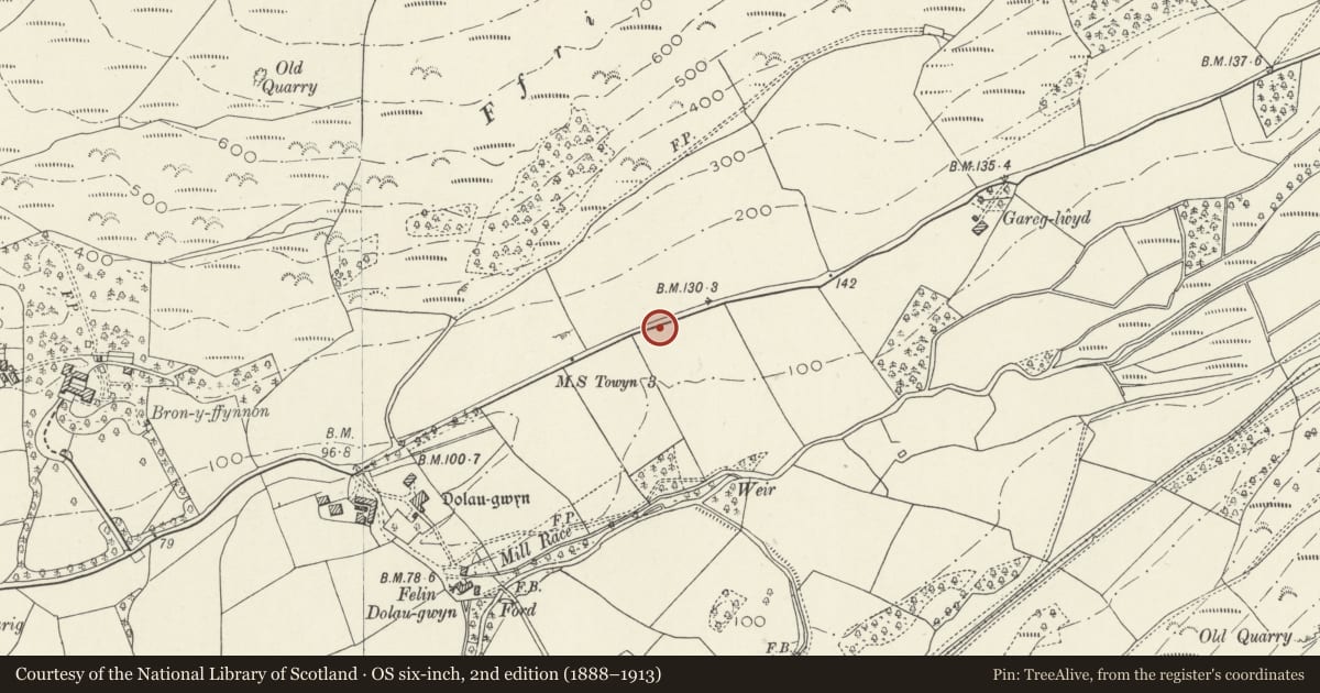 Ordnance Survey six-inch map, 2nd edition (1888–1913) covering the location of Mile marker, Bryn-Crug, Gwynedd, with a pin at the register's coordinates