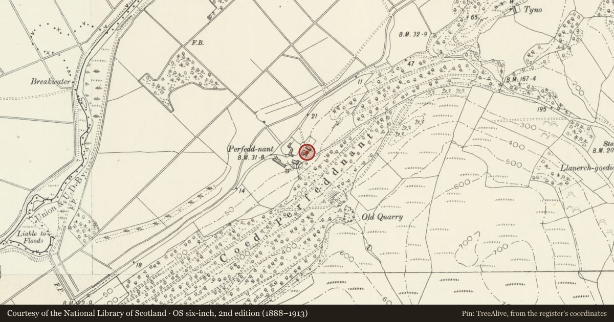 Ordnance Survey six-inch map, 2nd edition (1888–1913) covering the location of Perfeddnant, Bryn-Crug, Gwynedd, with a pin at the register's coordinates