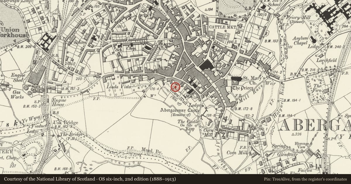 Ordnance Survey six-inch map, 2nd edition (1888–1913) covering the location of Retaining Wall between Castle Street Car-park and the Garden of Old Court, Abergavenny, Monmouthshire, with a pin at the register's coordinates