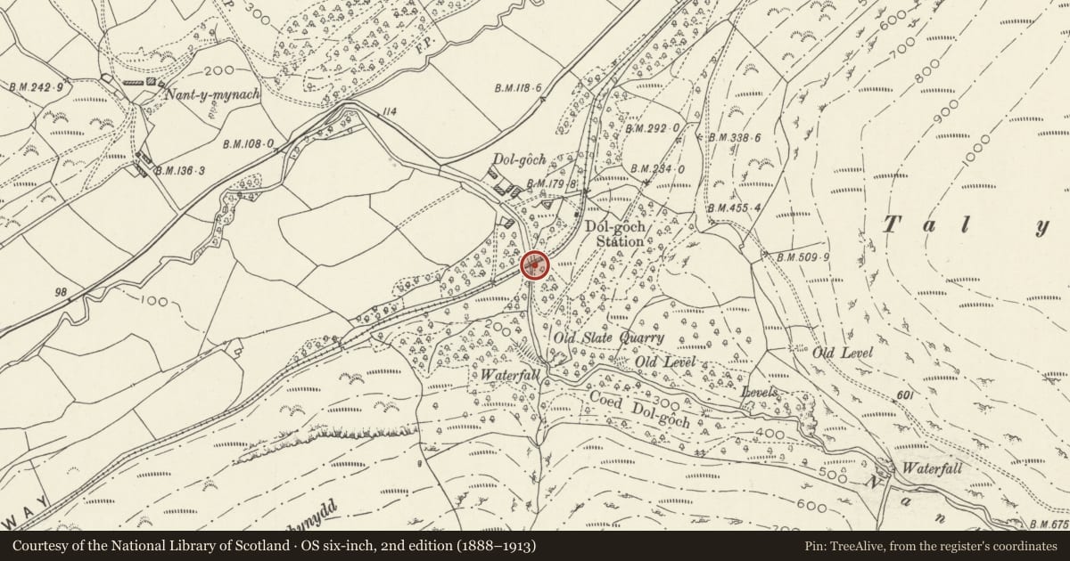 Ordnance Survey six-inch map, 2nd edition (1888–1913) covering the location of Dolgoch Viaduct, Bryn-Crug, Gwynedd, with a pin at the register's coordinates