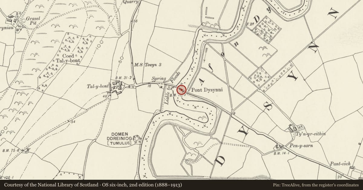 Ordnance Survey six-inch map, 2nd edition (1888–1913) covering the location of Pont Dysynni (partly in Llanegryn community), Bryn-Crug, Gwynedd, with a pin at the register's coordinates