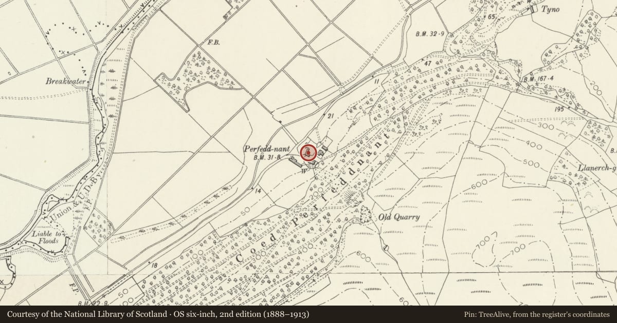 Ordnance Survey six-inch map, 2nd edition (1888–1913) covering the location of Farm building at Perfeddnant, Bryn-Crug, Gwynedd, with a pin at the register's coordinates