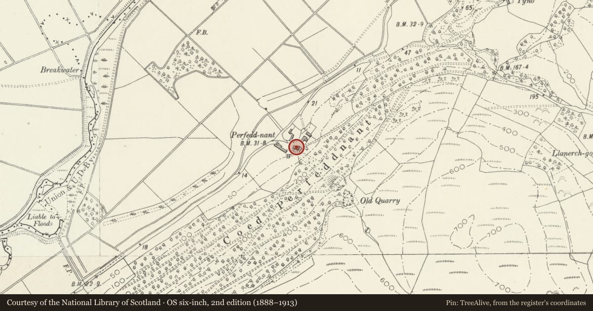 Ordnance Survey six-inch map, 2nd edition (1888–1913) covering the location of Hay barn at Perfeddnant, Bryn-Crug, Gwynedd, with a pin at the register's coordinates