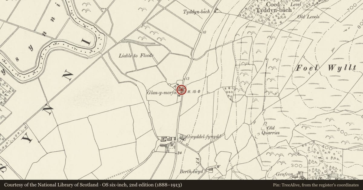 Ordnance Survey six-inch map, 2nd edition (1888–1913) covering the location of Outbuilding at Glan-y-morfa, Bryn-Crug, Gwynedd, with a pin at the register's coordinates