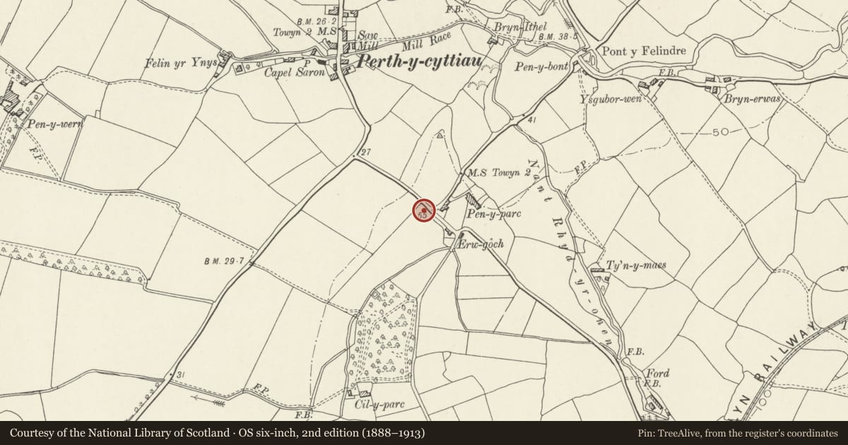 Ordnance Survey six-inch map, 2nd edition (1888–1913) covering the location of Bronwylfa, Bryn-Crug, Gwynedd, with a pin at the register's coordinates