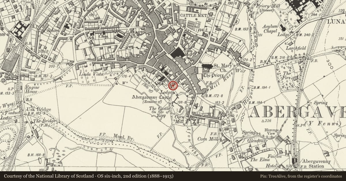 Ordnance Survey six-inch map, 2nd edition (1888–1913) covering the location of 29 Castle Street, Abergavenny, Monmouthshire, with a pin at the register's coordinates