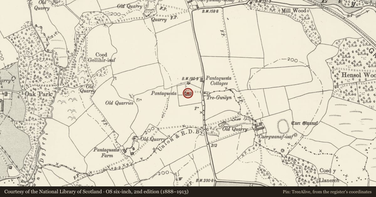 Ordnance Survey six-inch map, 2nd edition (1888–1913) covering the location of Pantyquesta House, Pont-y-Clun, Rhondda Cynon Taff, with a pin at the register's coordinates