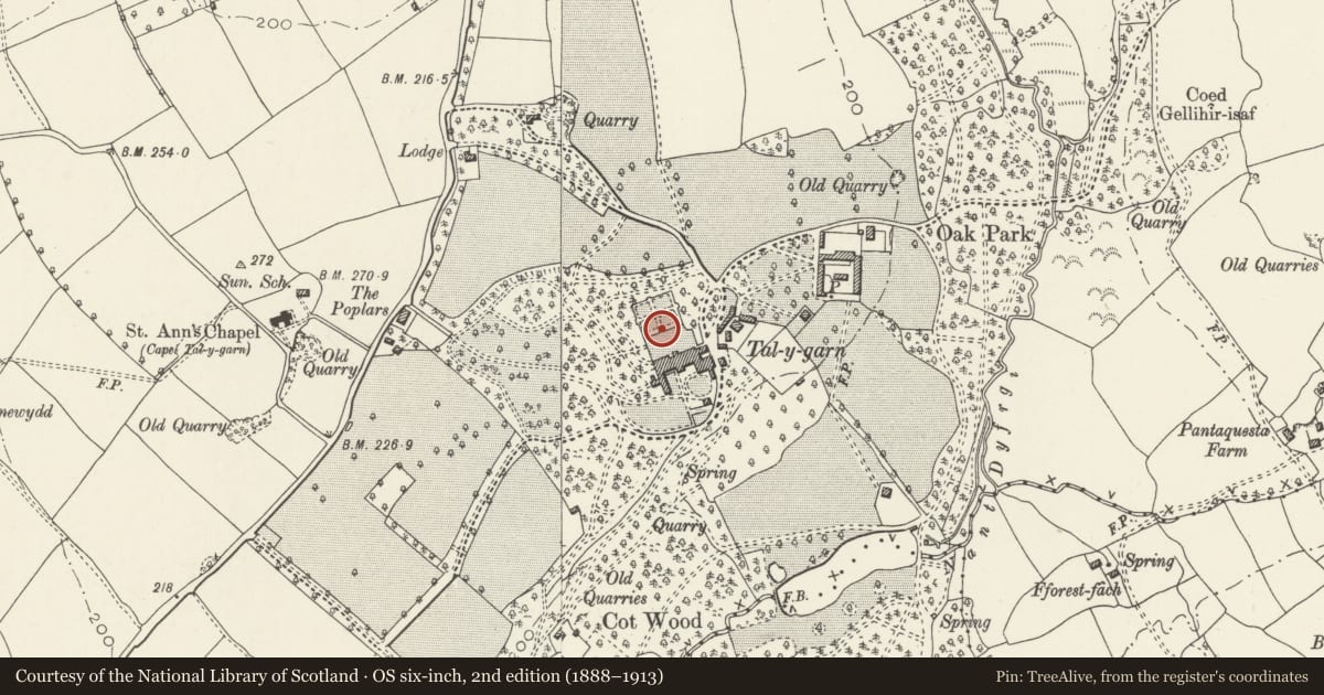 Ordnance Survey six-inch map, 2nd edition (1888–1913) covering the location of Balustrade to sunken garden at Talygarn, Pont-y-Clun, Rhondda Cynon Taff, with a pin at the register's coordinates