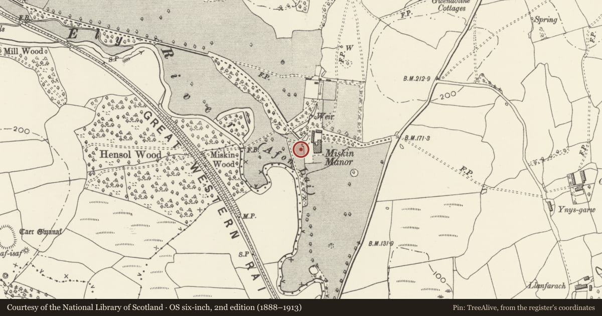 Ordnance Survey six-inch map, 2nd edition (1888–1913) covering the location of Lower terrace wall on W side of Miskin Manor, Pont-y-Clun, Rhondda Cynon Taff, with a pin at the register's coordinates