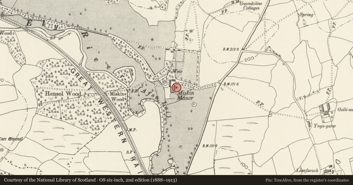 Ordnance Survey six-inch map, 2nd edition (1888–1913) covering the location of Pair of King's Beasts at E entrance of Miskin Manor, Pont-y-Clun, Rhondda Cynon Taff, with a pin at the register's coordinates